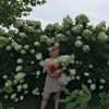 annaszlis